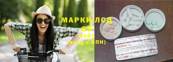 apvp Алексин